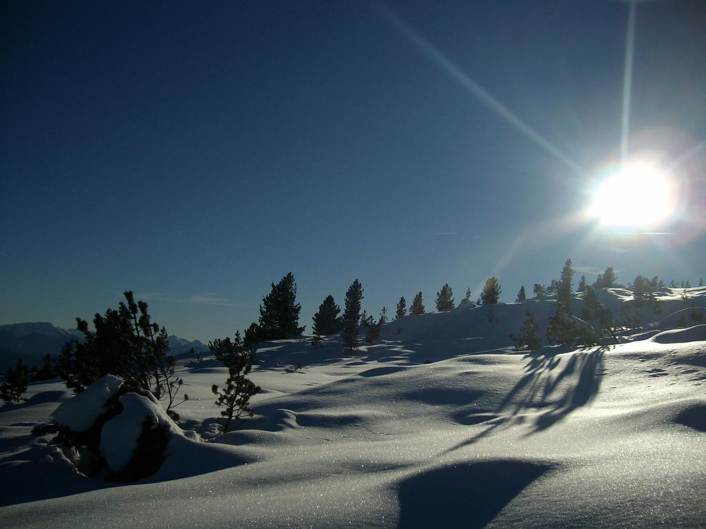 콜라보 Schartnerhof 빌라 객실 사진